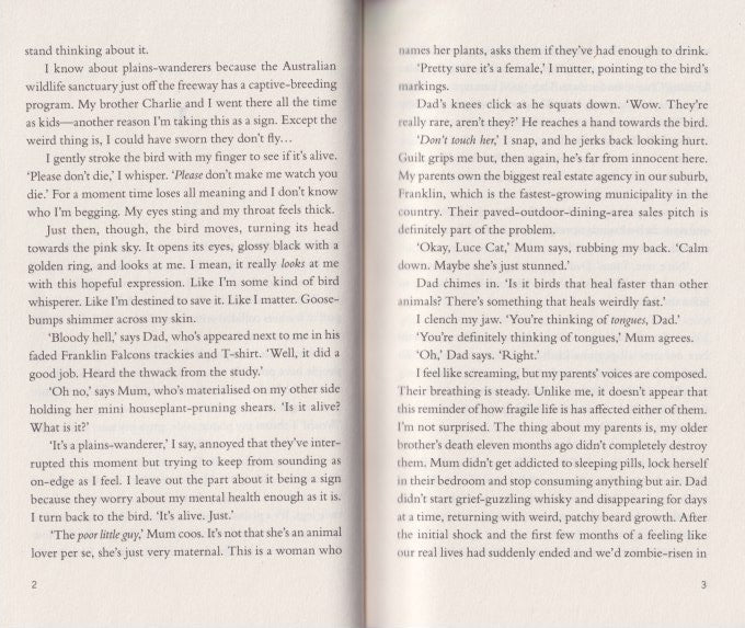 The Edge of Everything