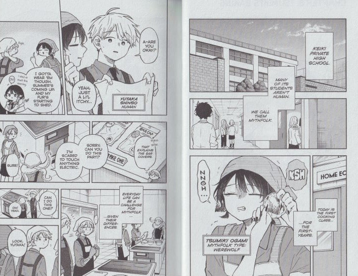 Tsumiki Ogami's Not-So-Ordinary Life, Vol. 2