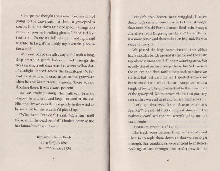 The Magpie Riddle: A Goldfish Boy Mystery