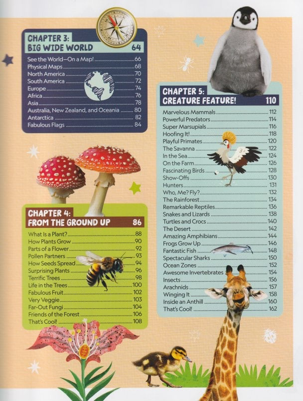 National Geographic Kids: My First Encyclopedia of Almost Everything (Disney)