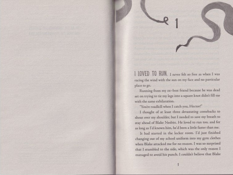 The School for Invisible Boys