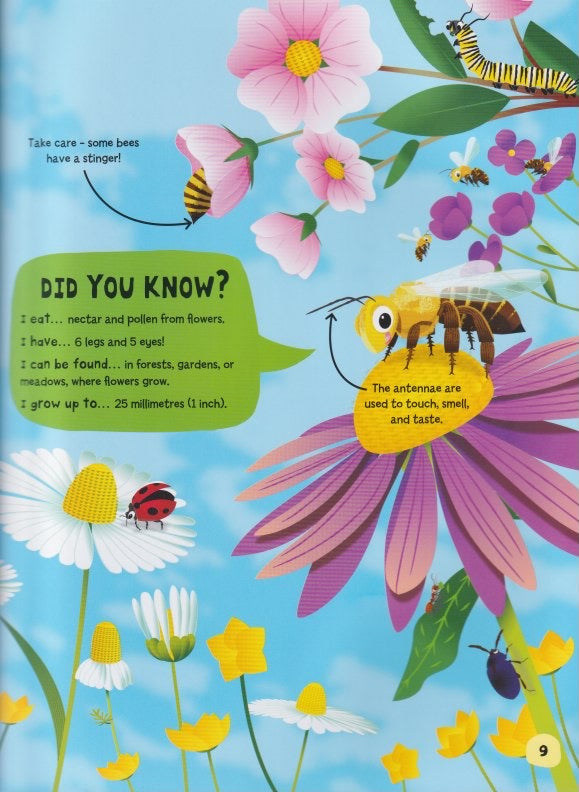 Young Adventurers: My Book About Bugs