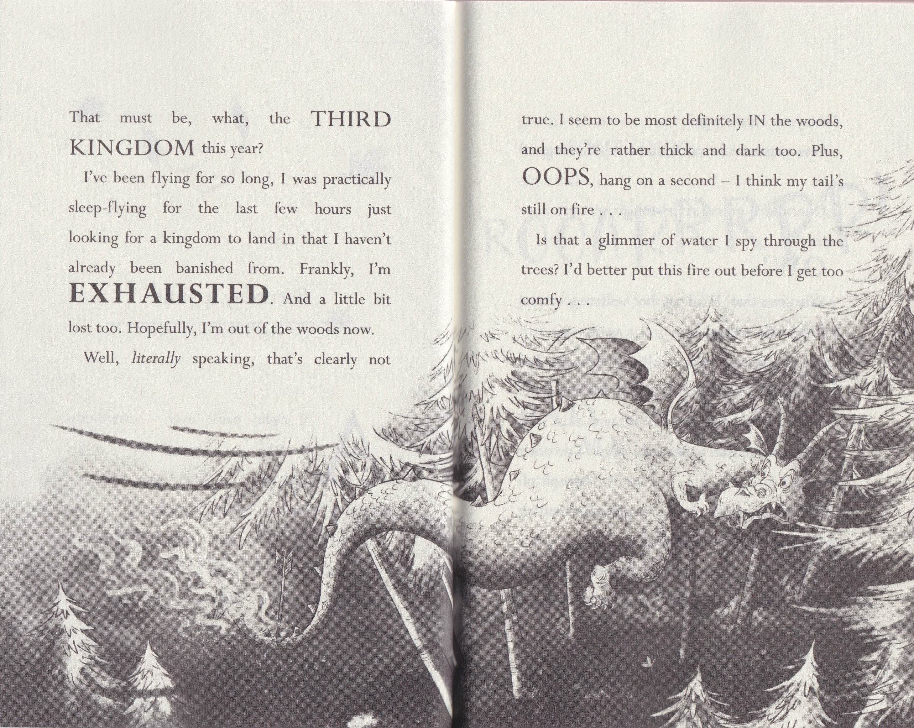 Diary of a Dreadful Dragon