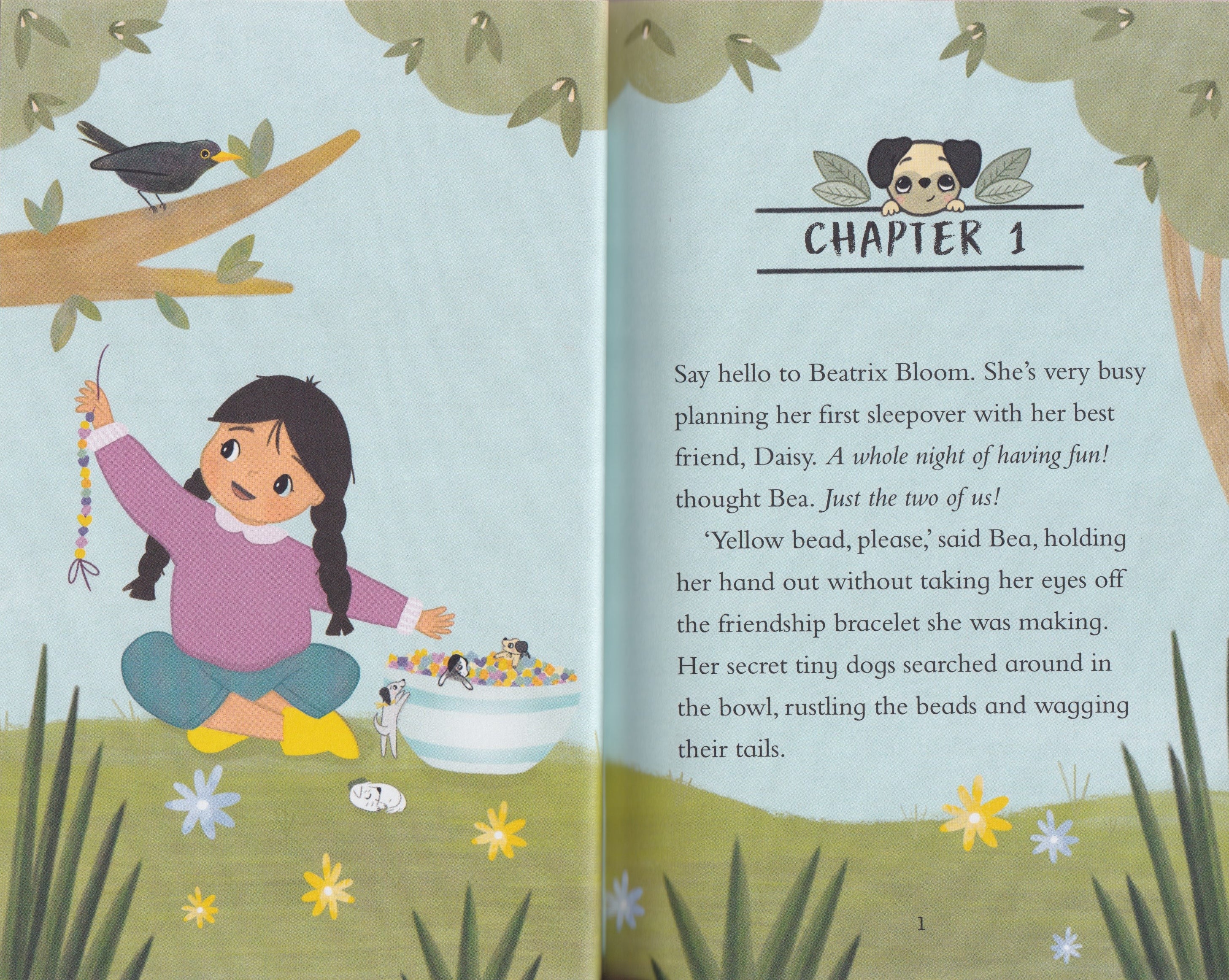 Tiny Dogs: The Sleepover Surprise