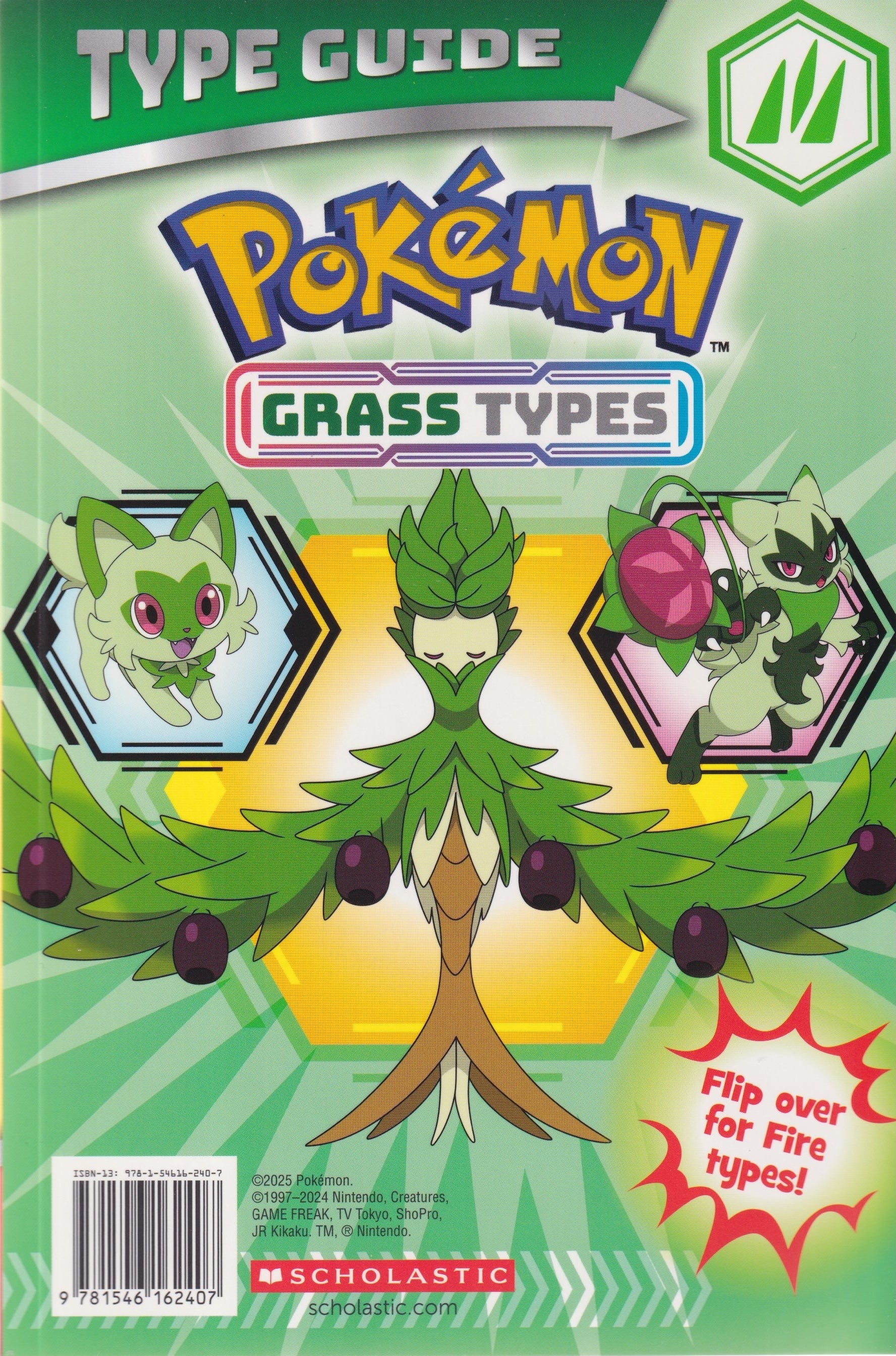 Pokémon Type Guide: Fire/Grass Types