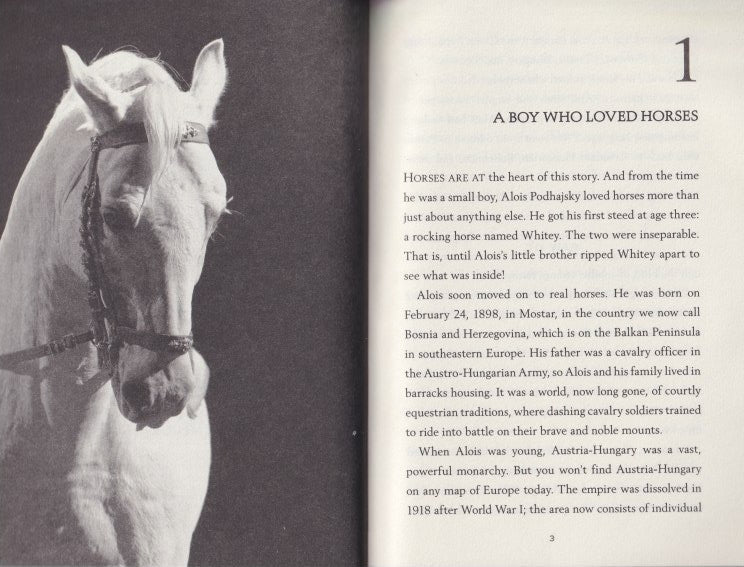 World War II Close Up: They Saved the Stallions