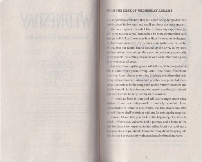 Wednesday: A Novelisation of Season One