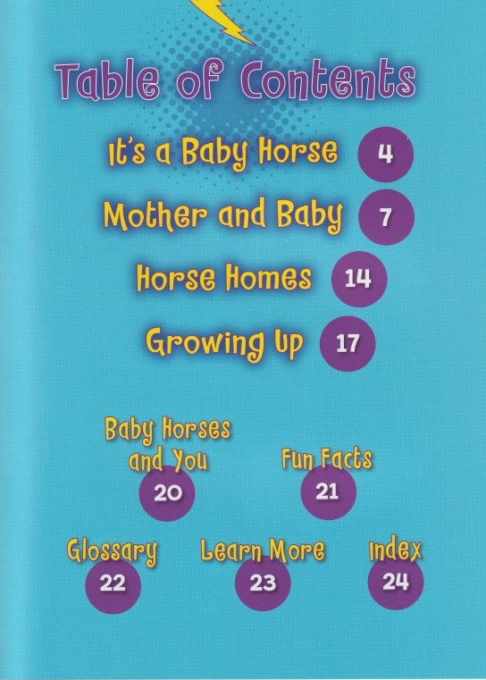 Horse Lover's Library: Baby Horses