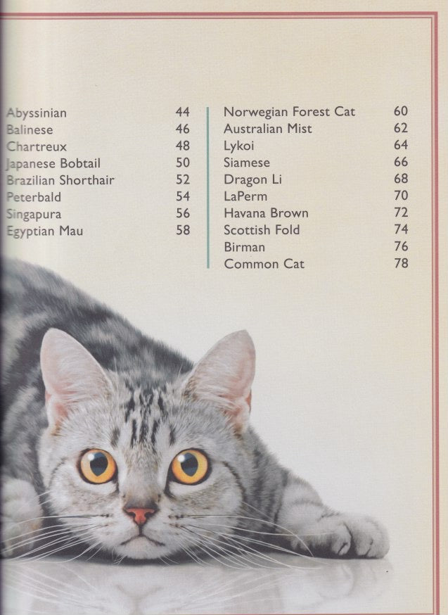 The Magnificent Book of Cats