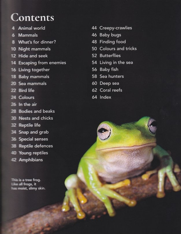 First Encyclopedia of Animals