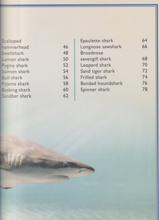 The Magnificent Book of Sharks