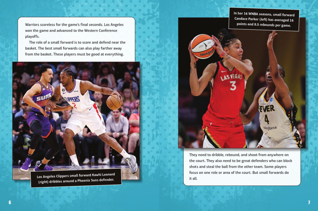 G.O.A.T: Basketball Small Forwards (Hardcover)