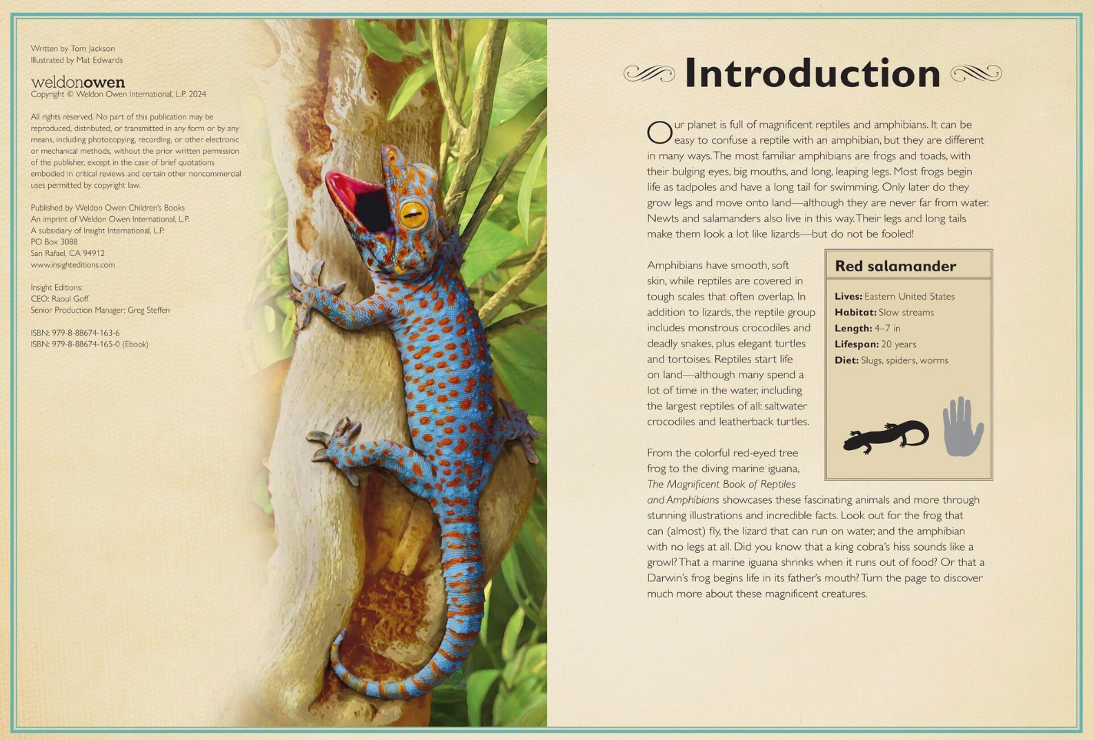 The Magnificent Book of Reptiles and Amphibians