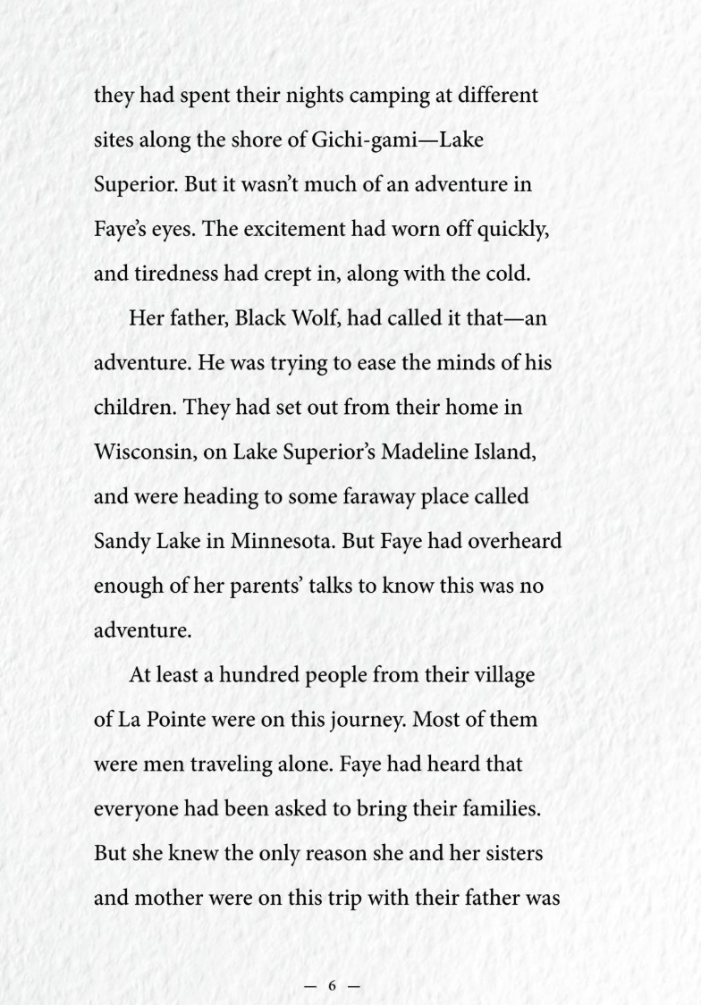 Girls Survive: Faye and the Dangerous Journey