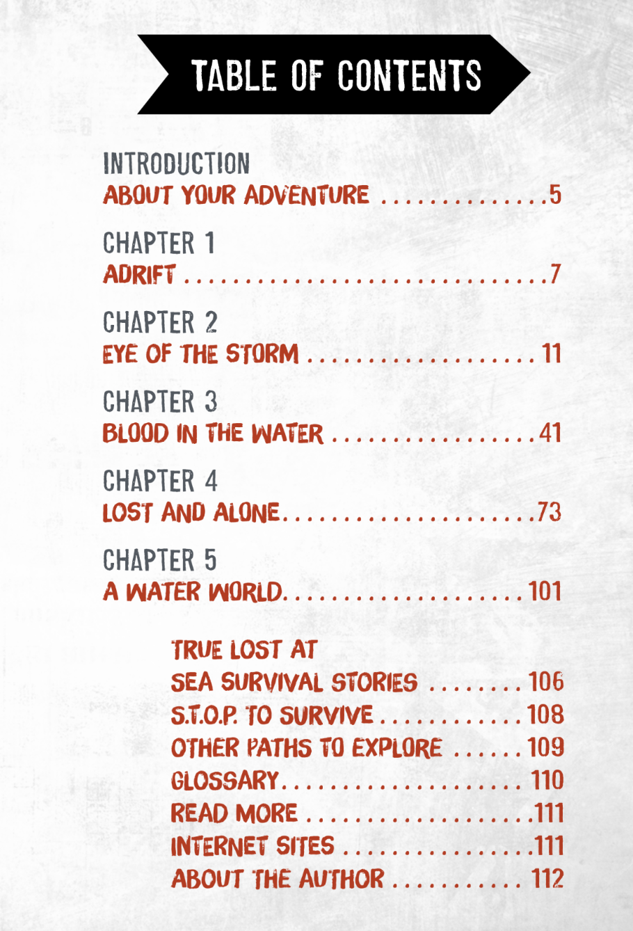 You Choose: Lost!: Life or Death At Sea