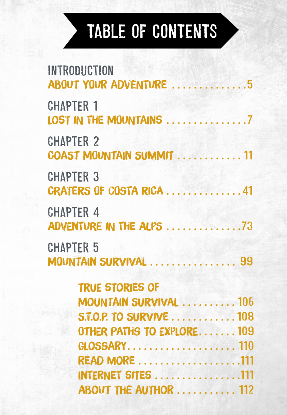 You Choose: Lost!: Life or Death on a Mountain