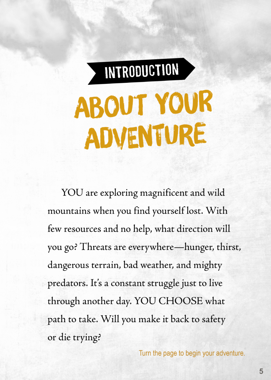 You Choose: Lost!: Life or Death on a Mountain