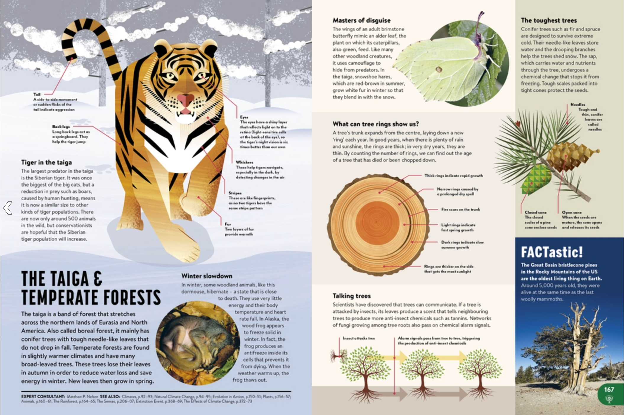 Britannica All New Children's Encyclopedia: What We Know and What We Don't