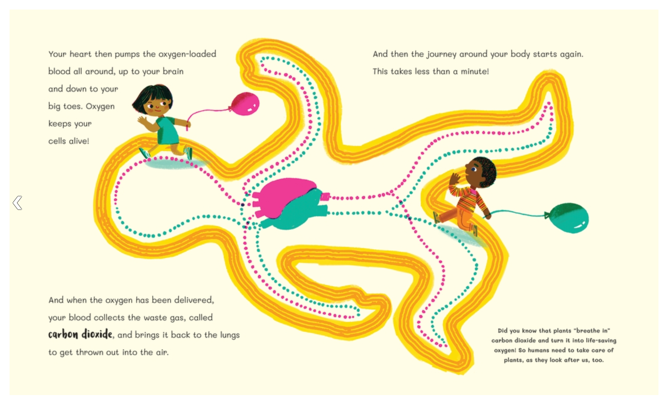 Dr Roopa's Body Books: The Hero Heart