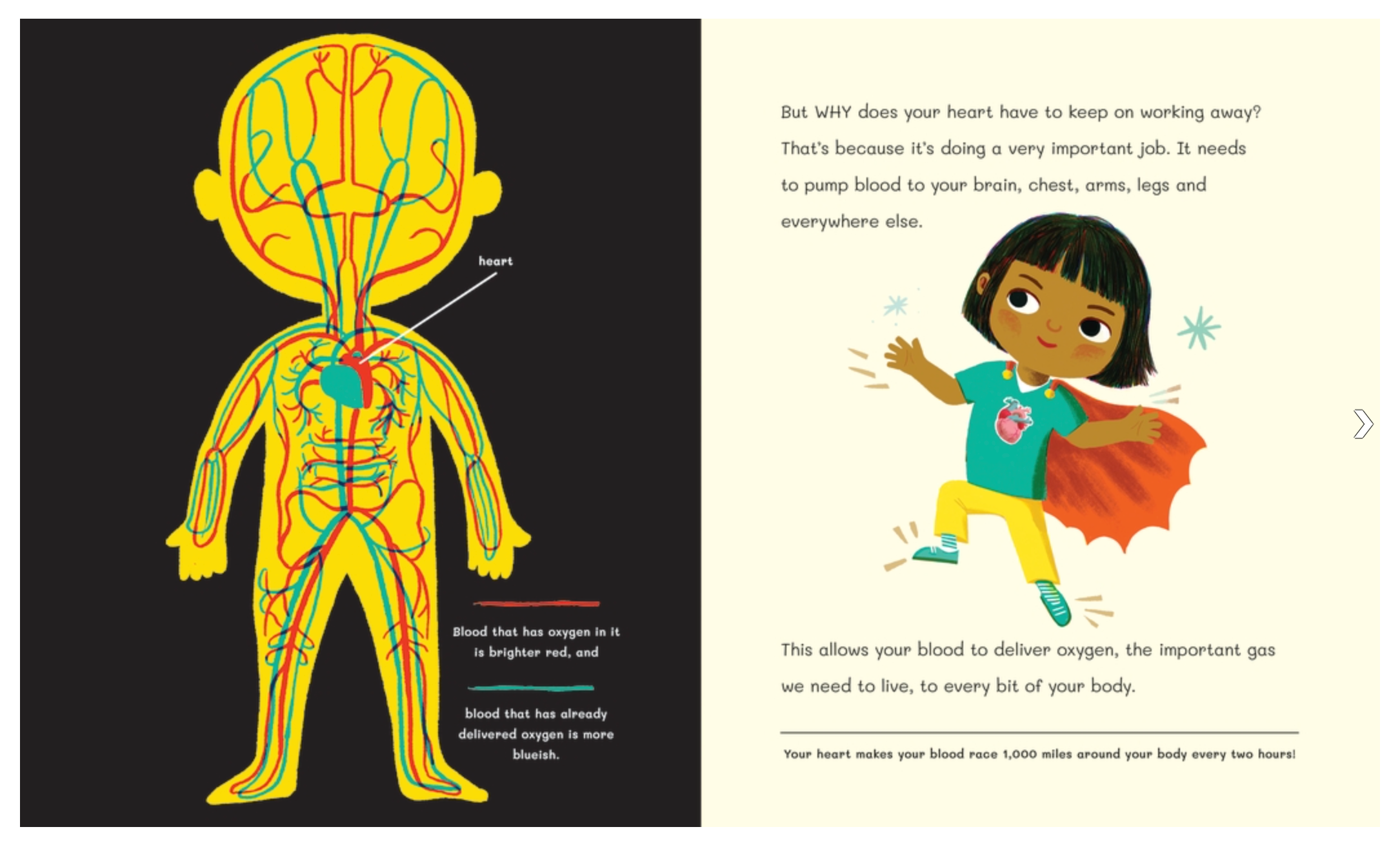 Dr Roopa's Body Books: The Hero Heart