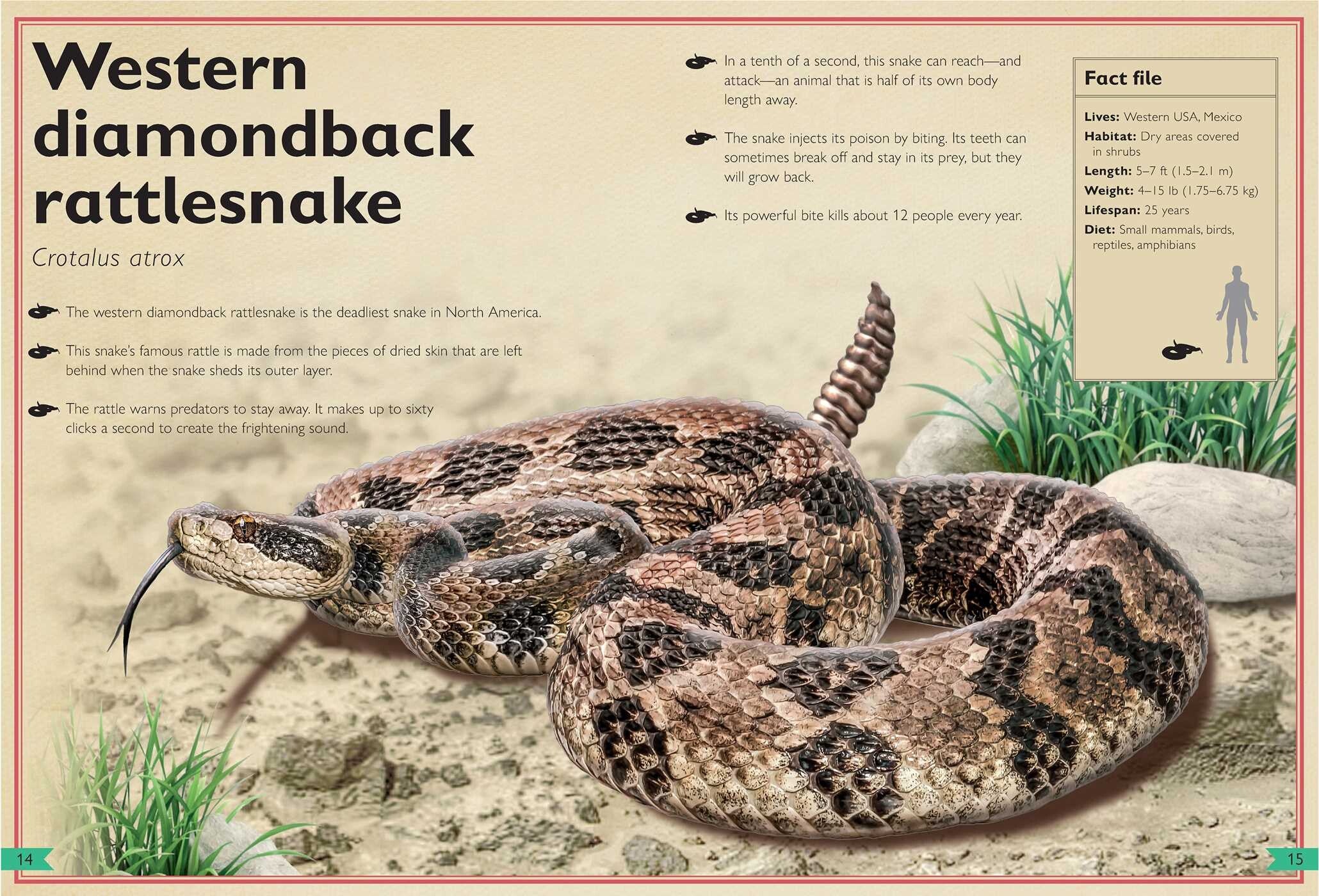 The Magnificent Book of Dangerous Animals