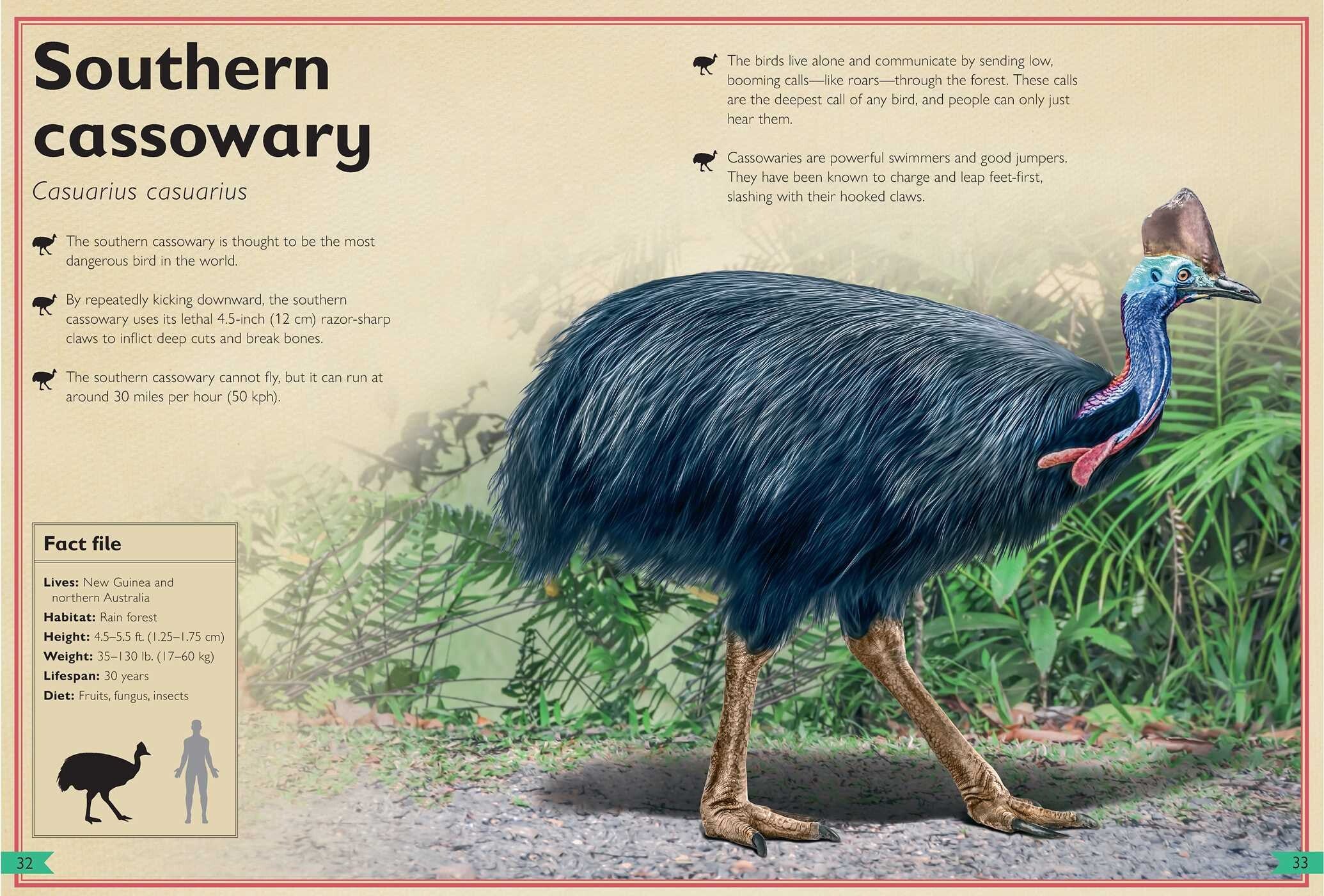 The Magnificent Book of Dangerous Animals