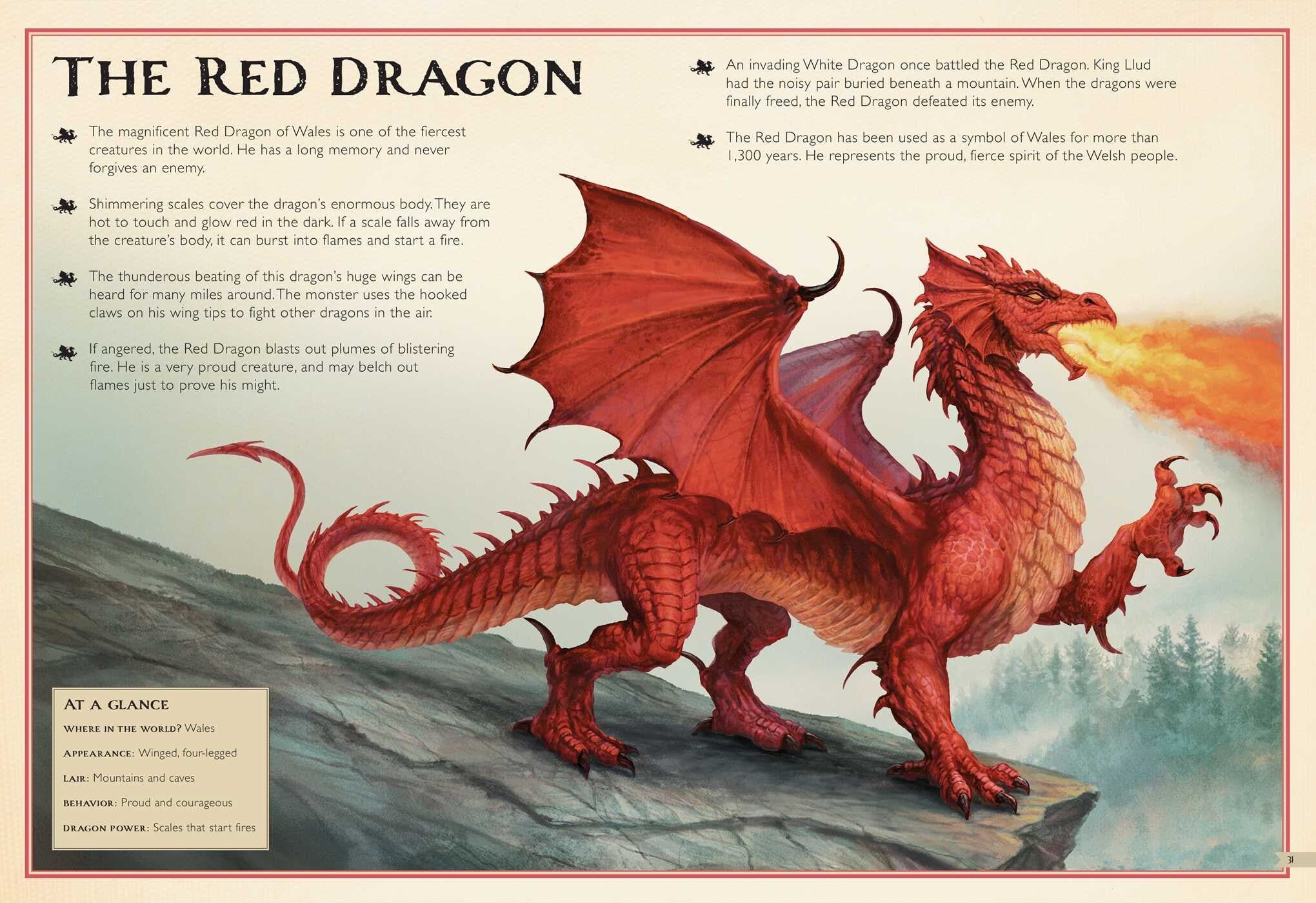 The Magnificent Book of Dragons