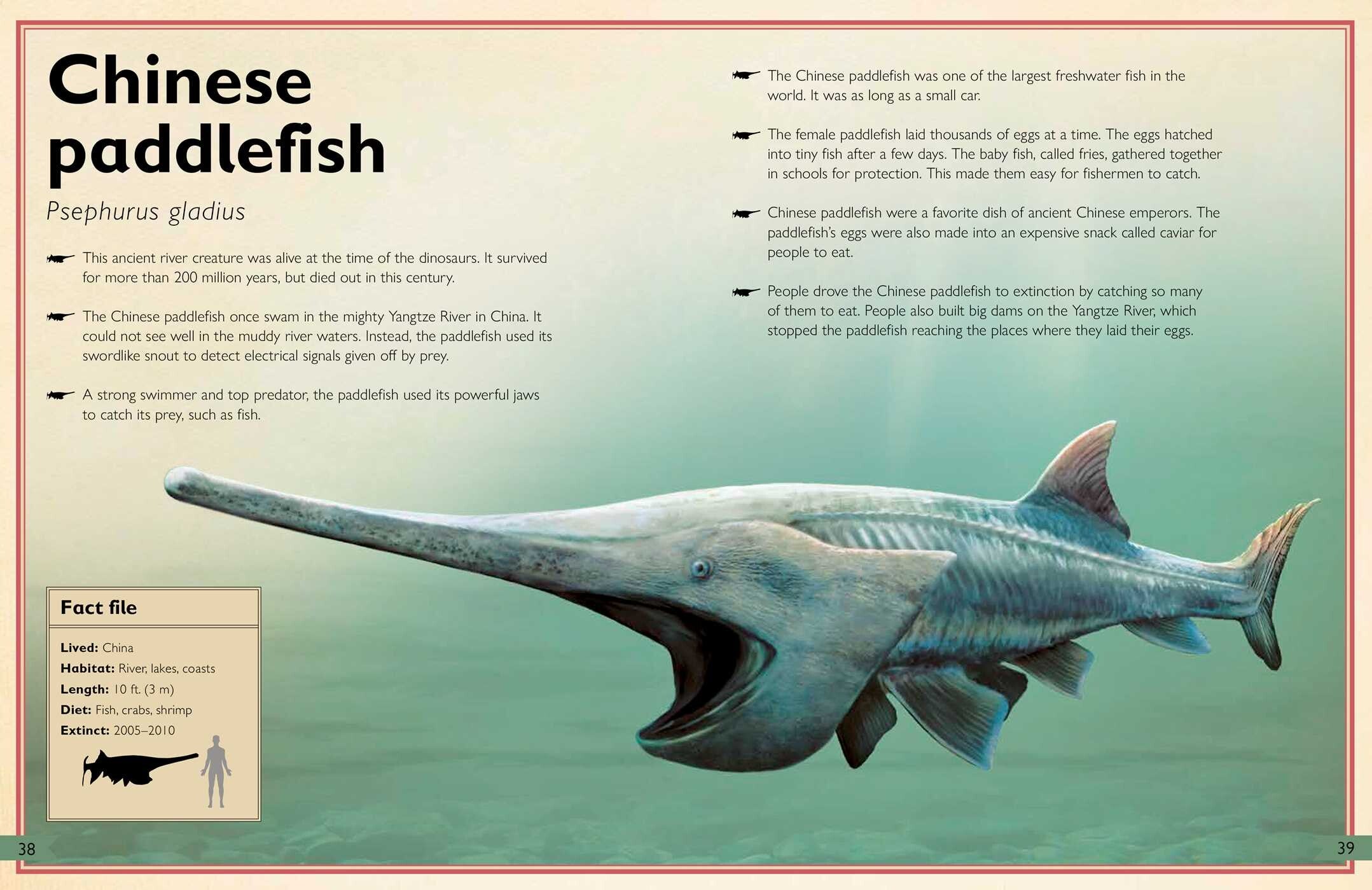 The Magnificent Book of Extinct Animals