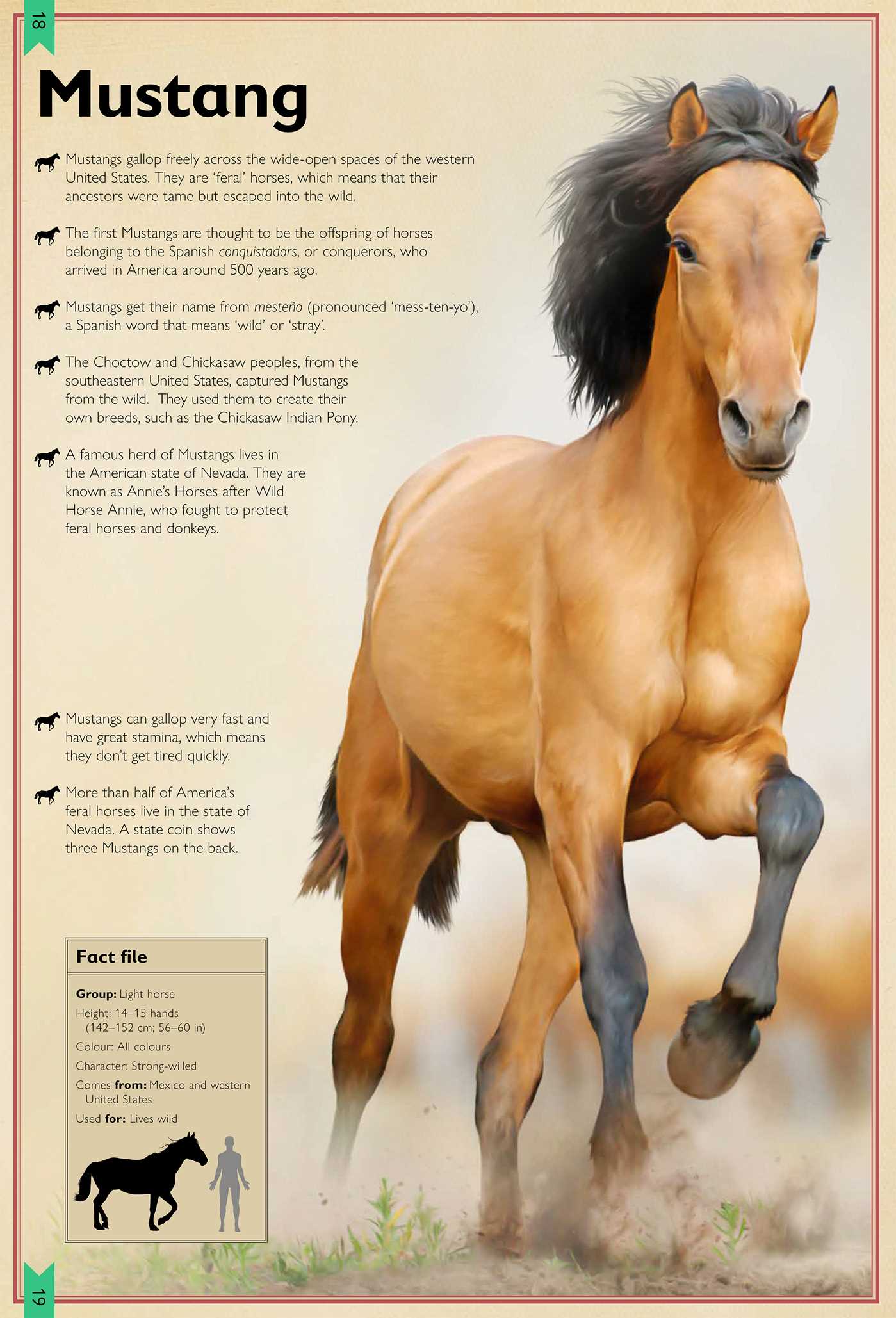 The Magnificent Book of Horses