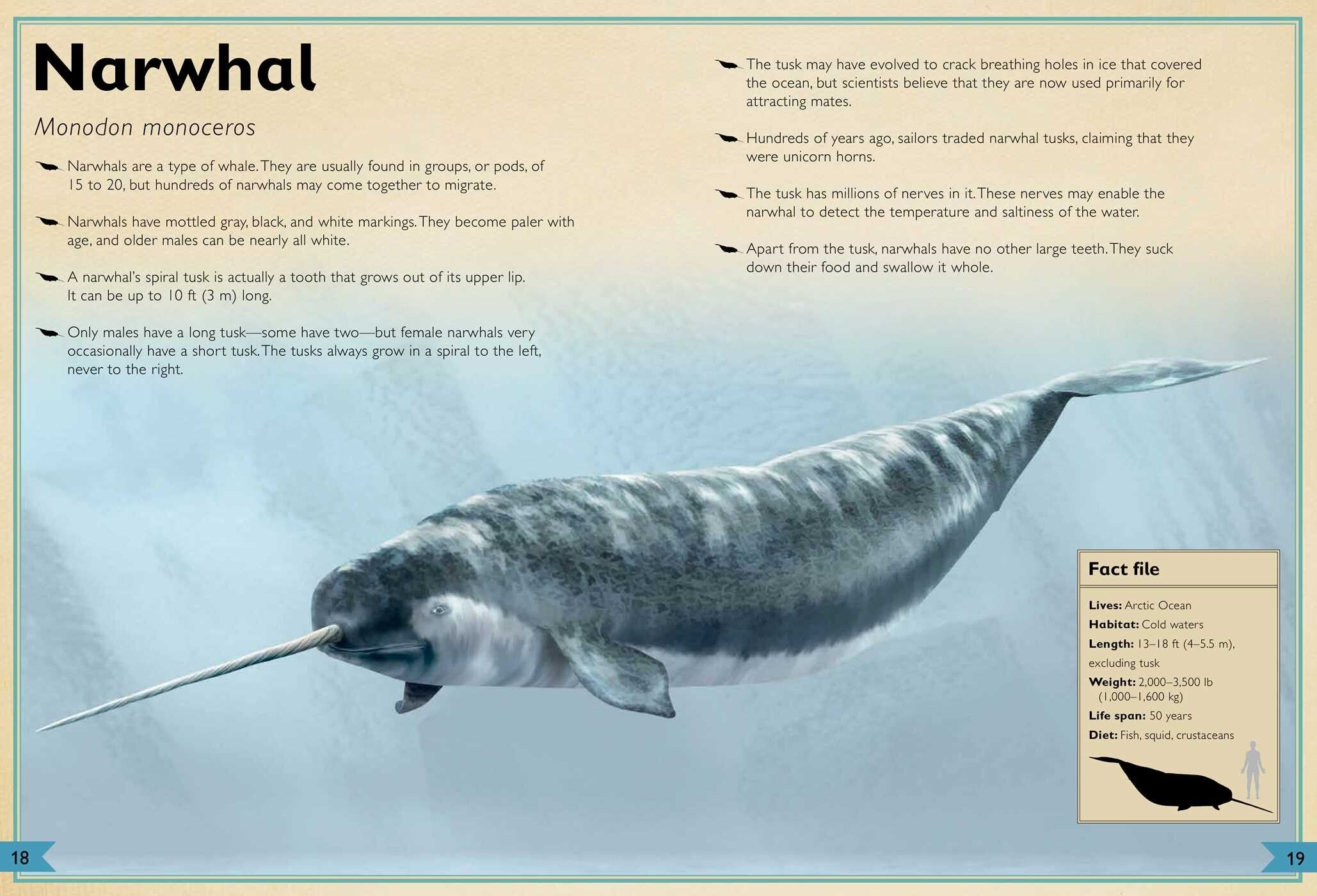 The Magnificent Book of Ocean Creatures