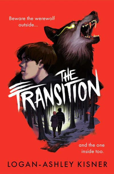 Young Adult Fiction Variety Pack (30 titles)
