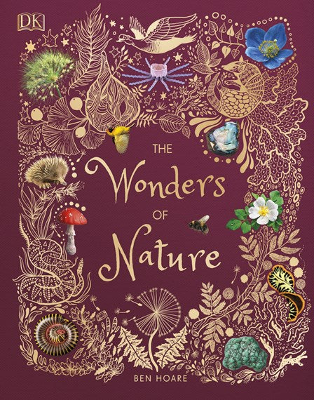 The Wonders Of Nature
