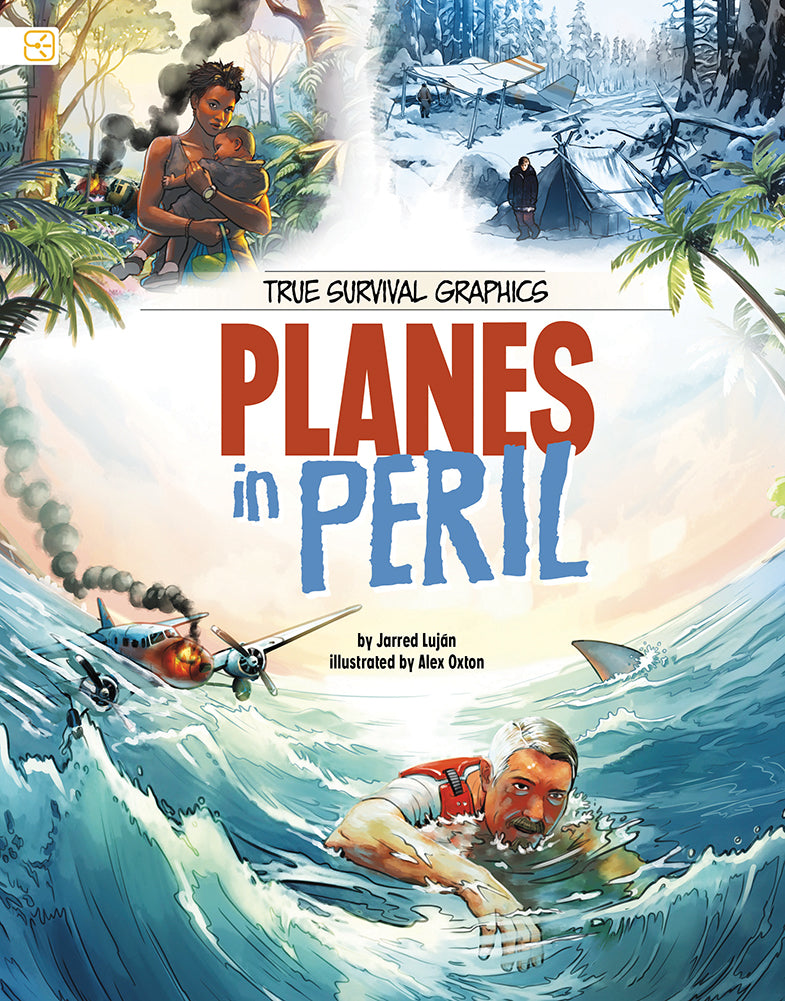 True Survival Graphics: Planes in Peril