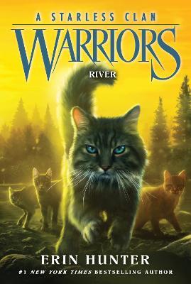 Warriors: A Starless Clan 4 Pack