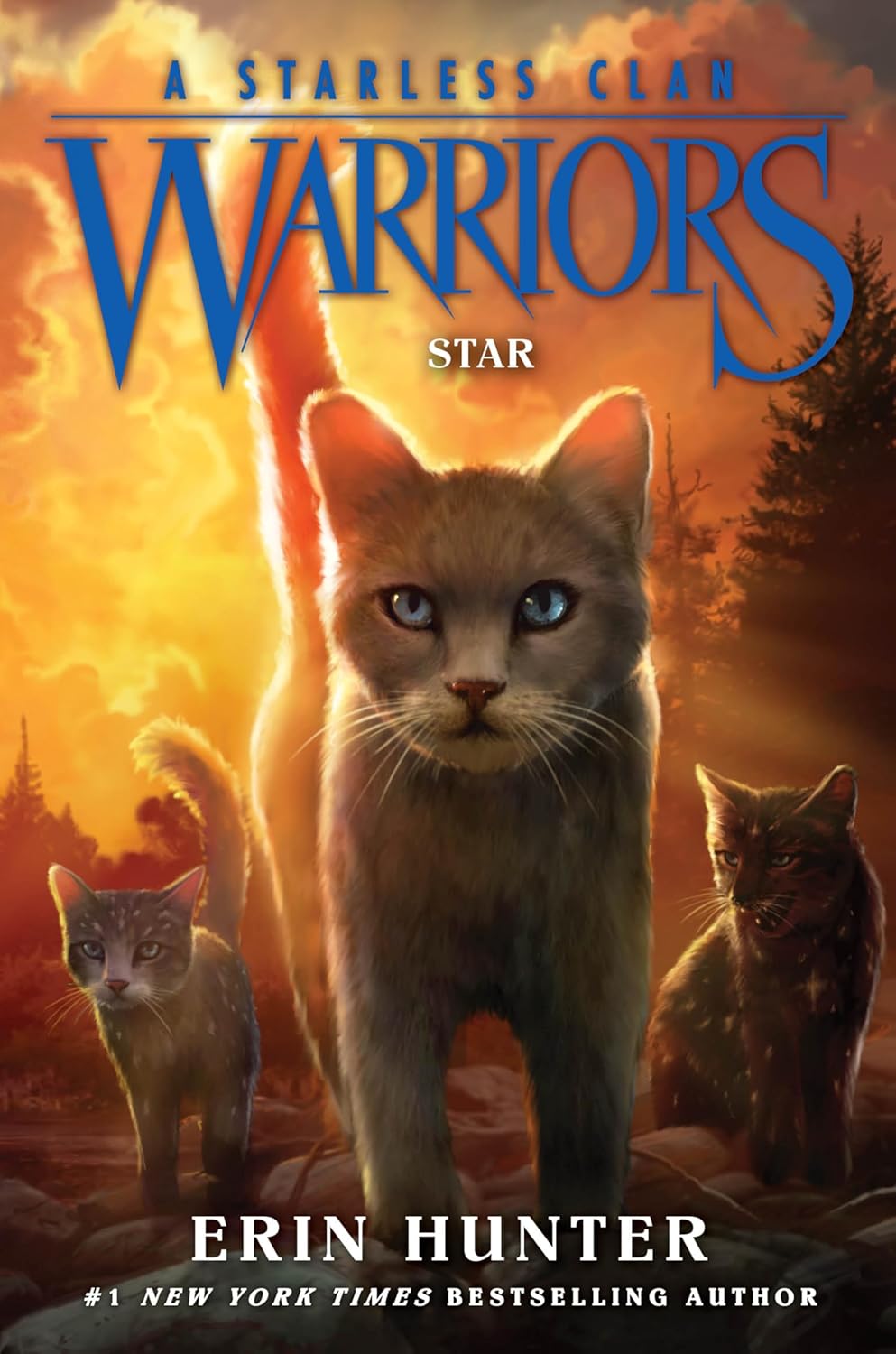 Warriors 6: A Starless Clan - Star