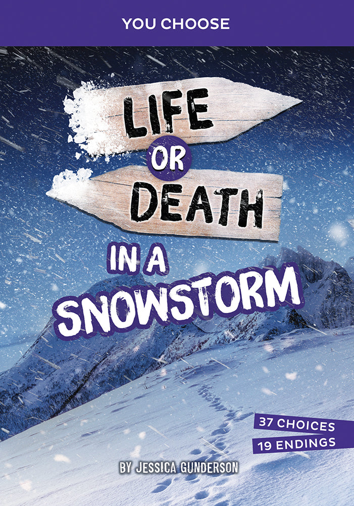 You Choose: Lost!: Life or Death in a Snowstorm