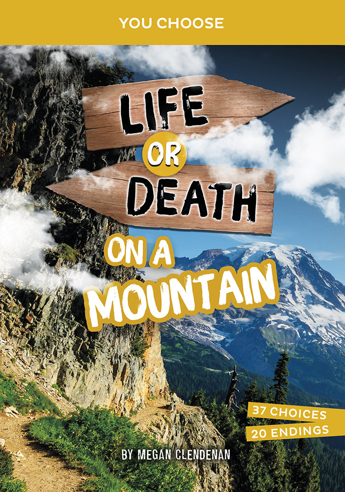 You Choose: Lost!: Life or Death on a Mountain