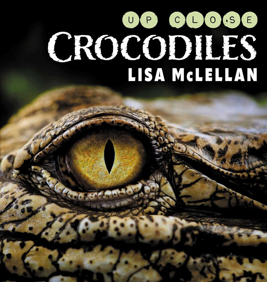 Crocodiles Up Close