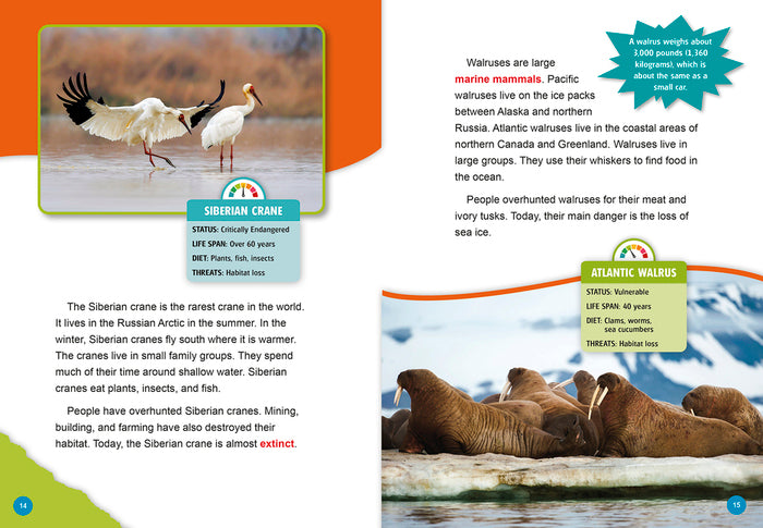 Animals in Danger: Endangered Animals of the Artic