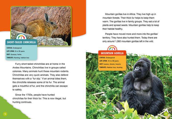 Animals in Danger: Endangered Animals of the Mountains