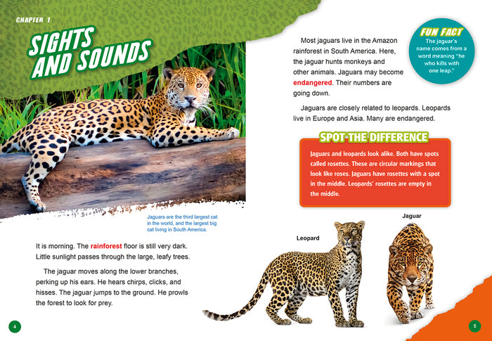 Animals in Danger: Endangered Animals of the Rainforest