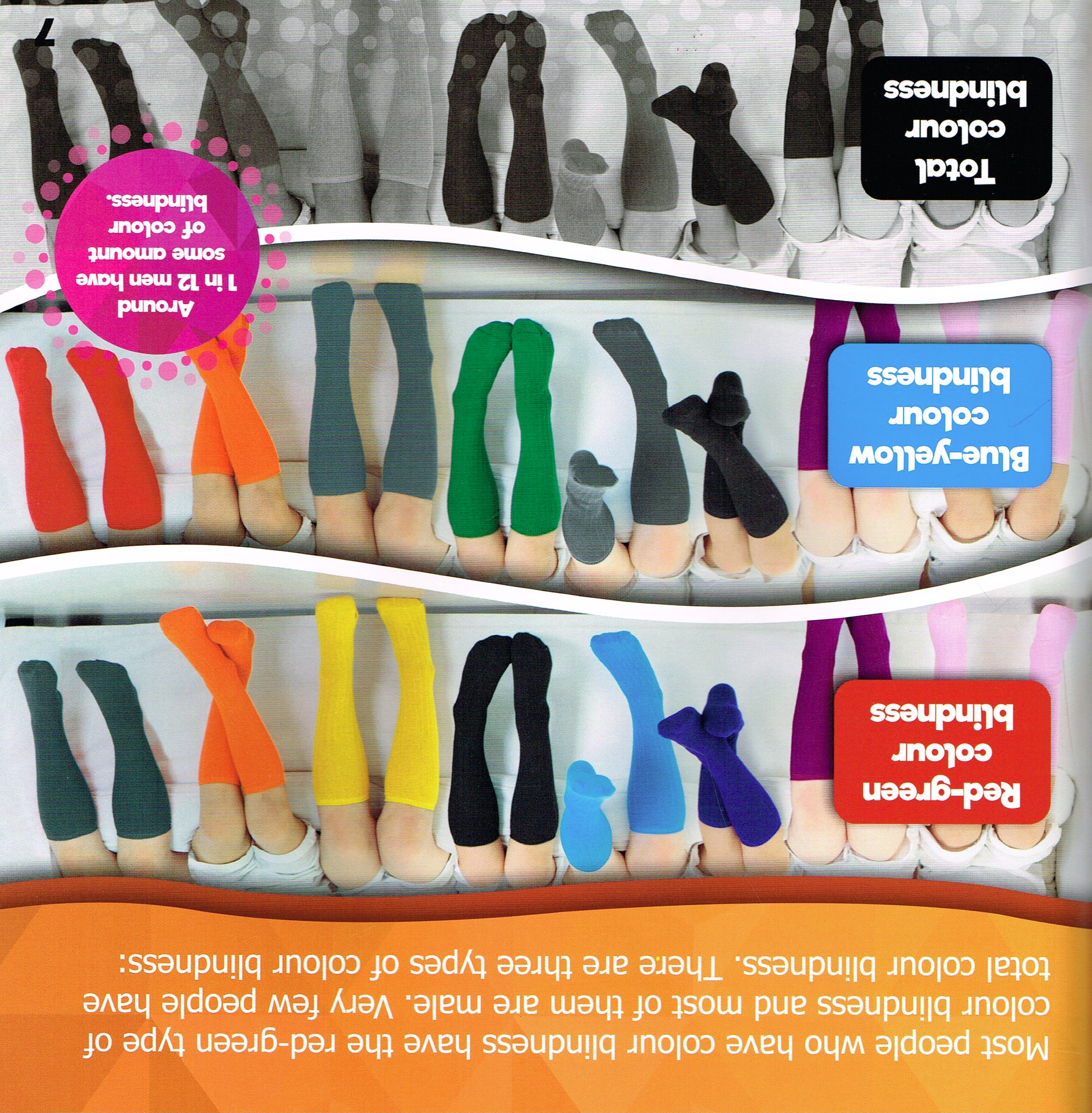 A Different World 4 Pack