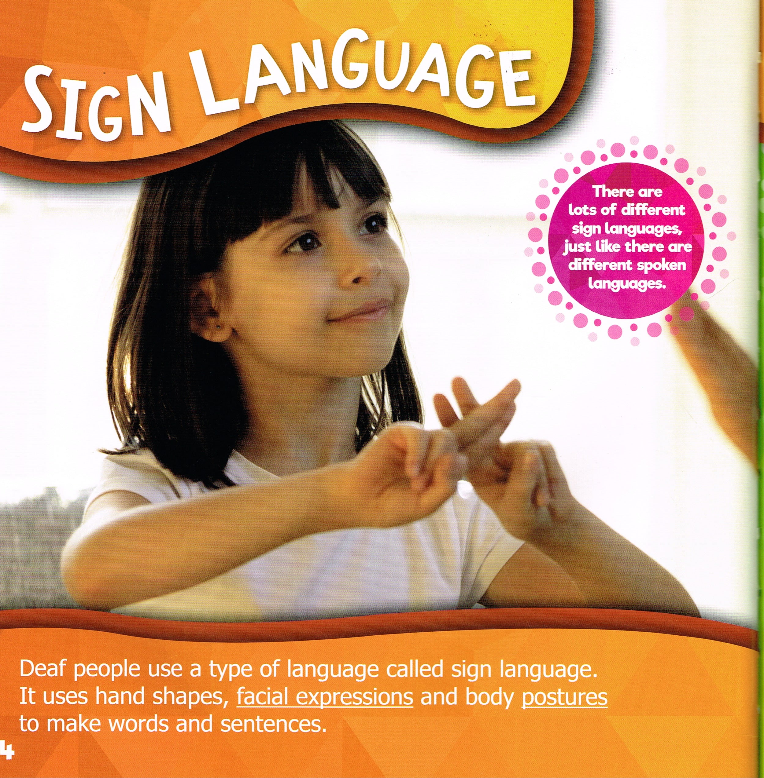 A Different World 4 Pack