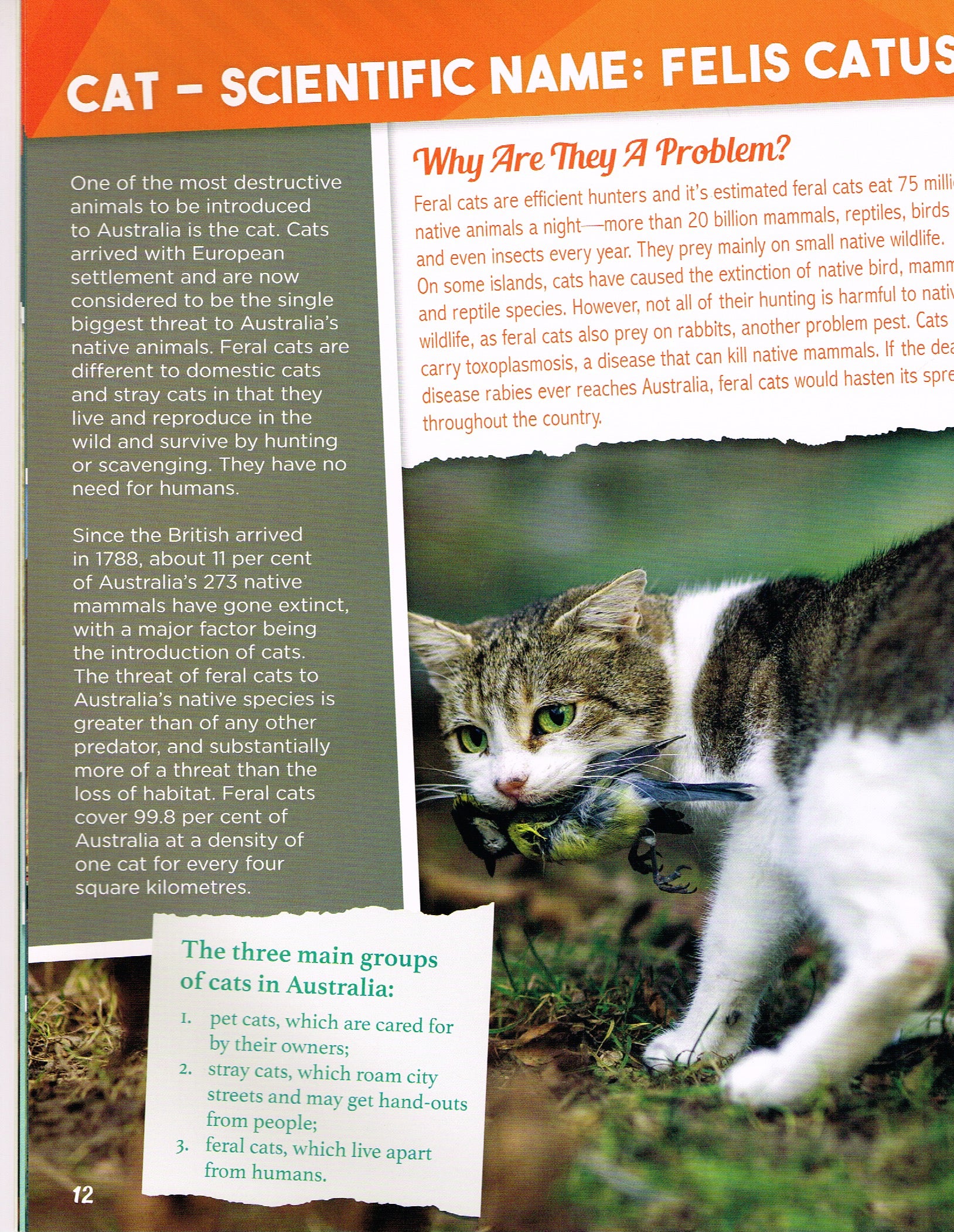 Australia's Environmental Issues 6 Pack