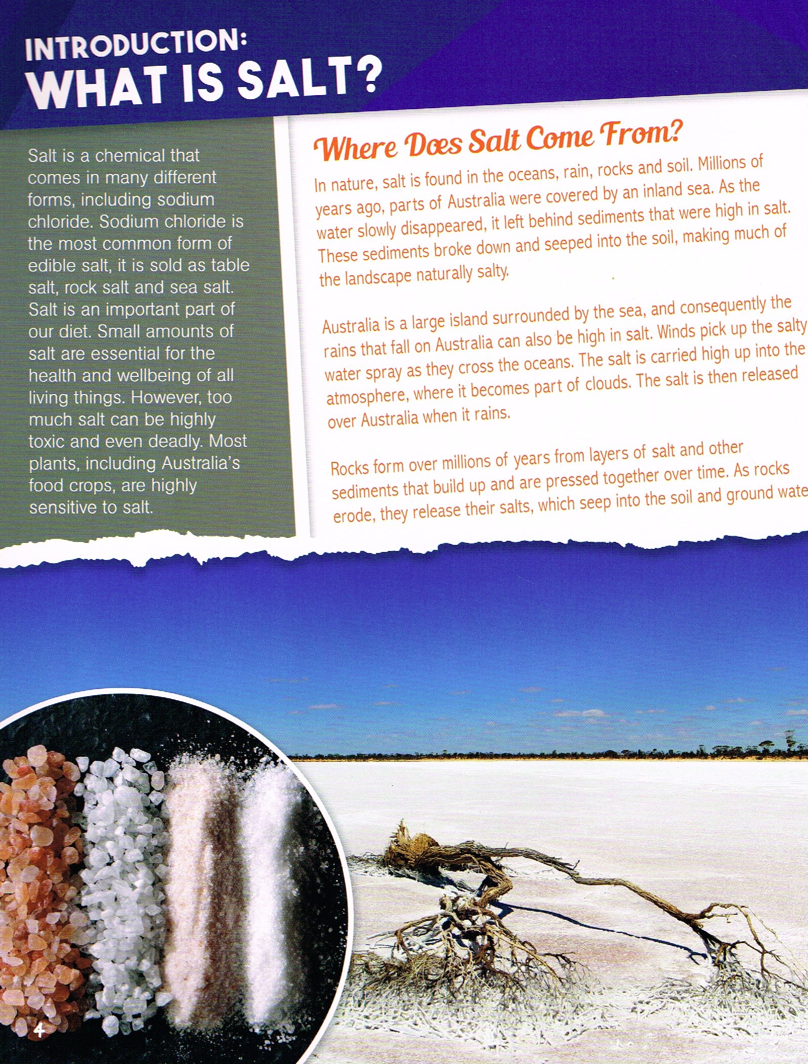 Australia's Environmental Issues 6 Pack