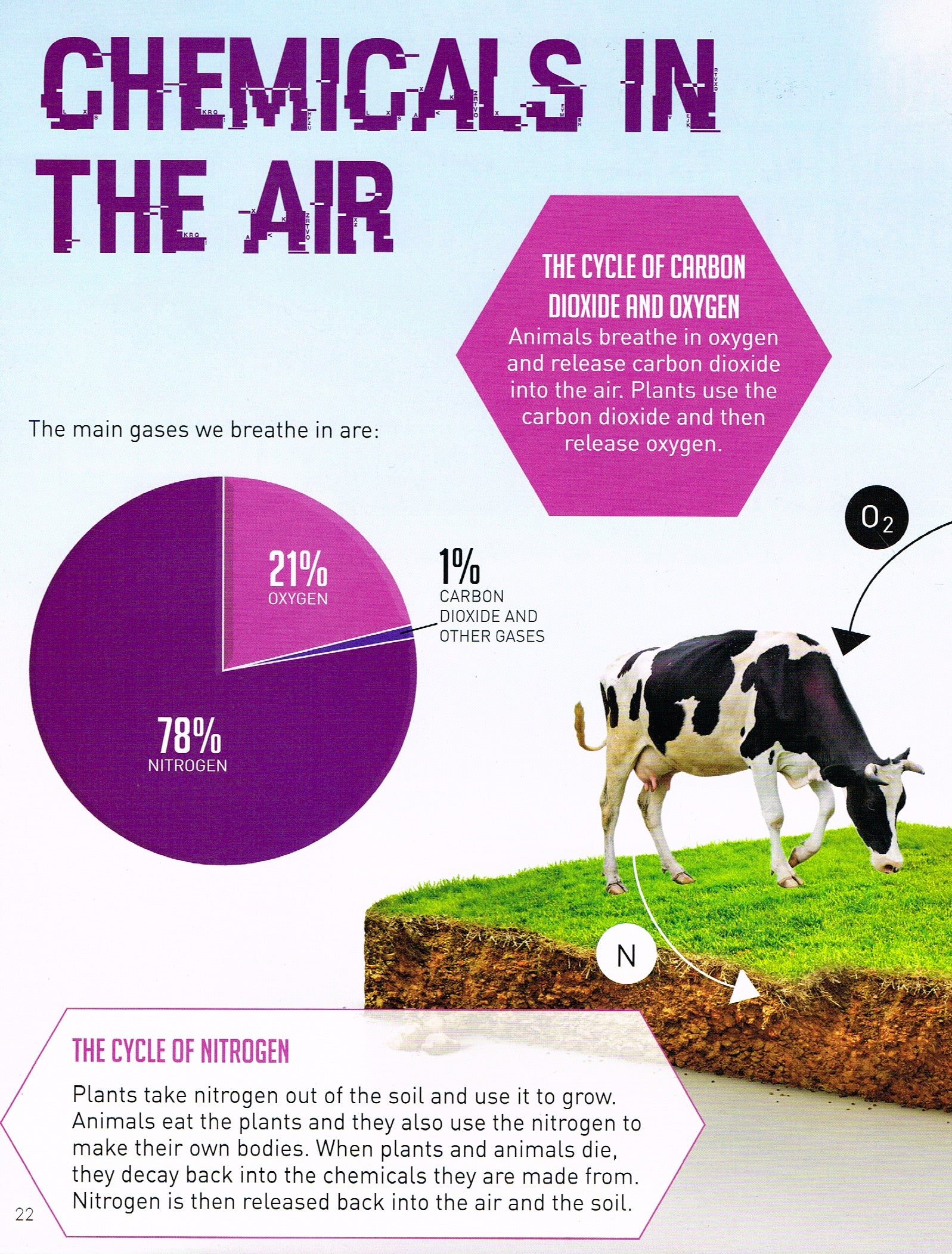 STEM Is Everywhere: Surrounded By Chemicals