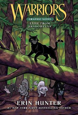 Warriors Exile from ShadowClan Graphic Novel