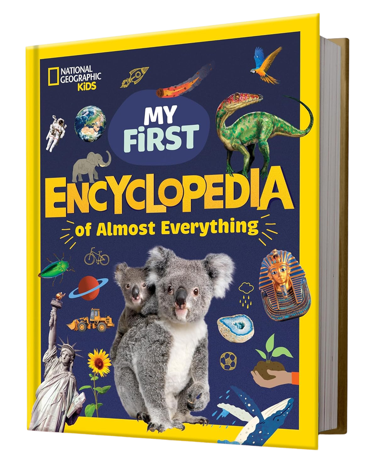 National Geographic Kids: My First Encyclopedia of Almost Everything (Disney)