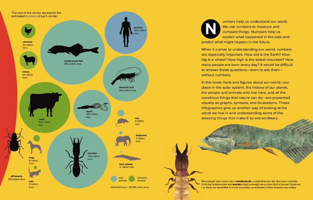 Our World by the Numbers