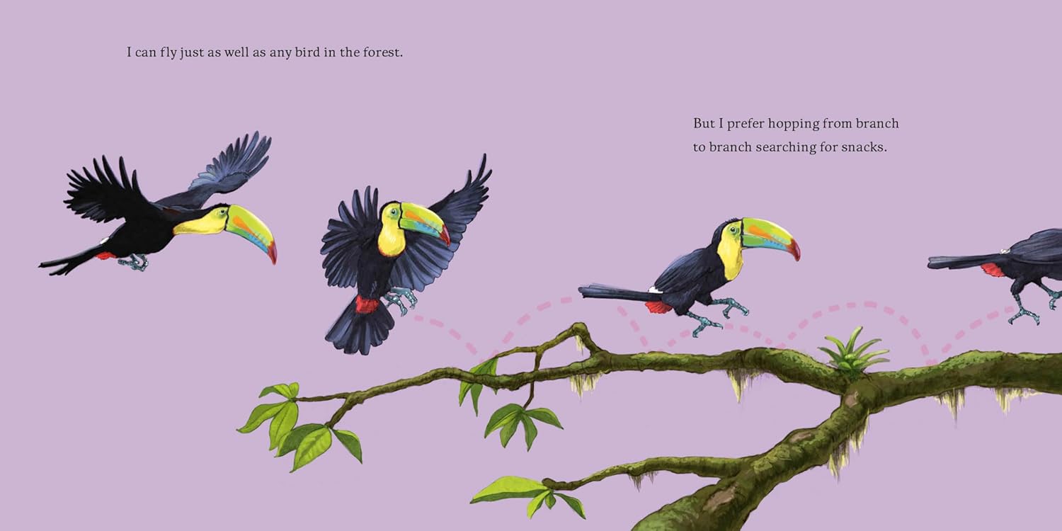Meet the Wild Things Bk 5: Hello, I'm a Toucan